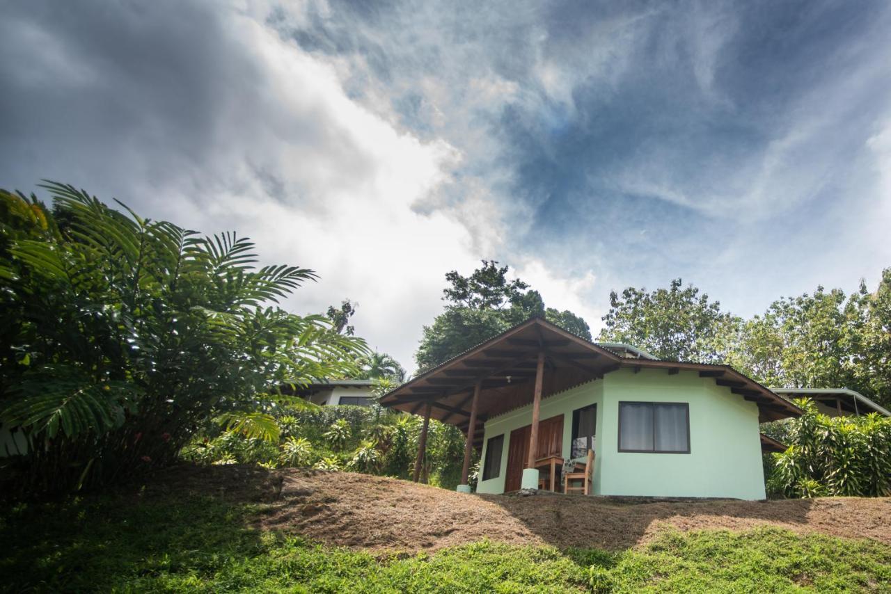 Ballena Paraiso Lodge Uvita Exteriér fotografie