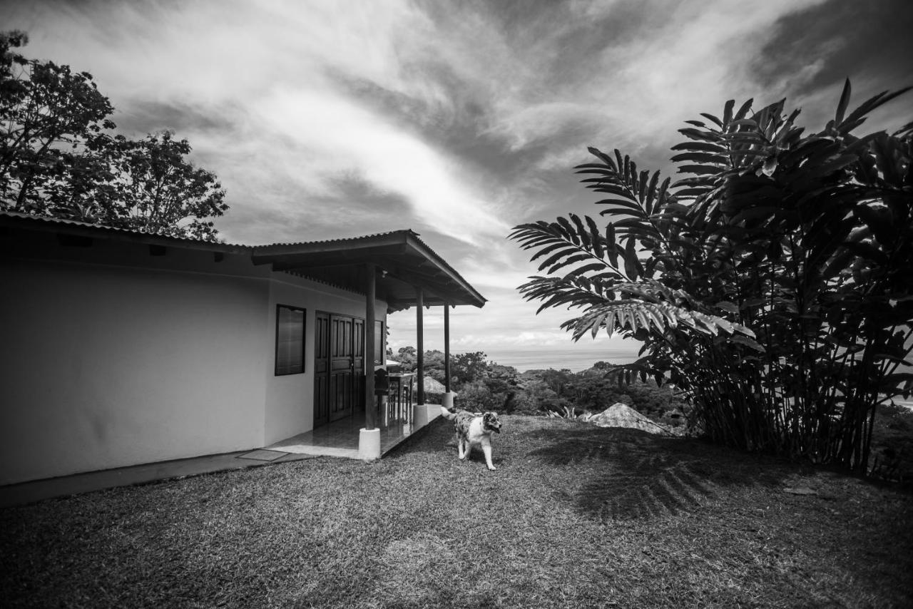 Ballena Paraiso Lodge Uvita Exteriér fotografie